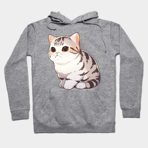 Cute American Shorthair Cat Hoodie by SundayDonuts